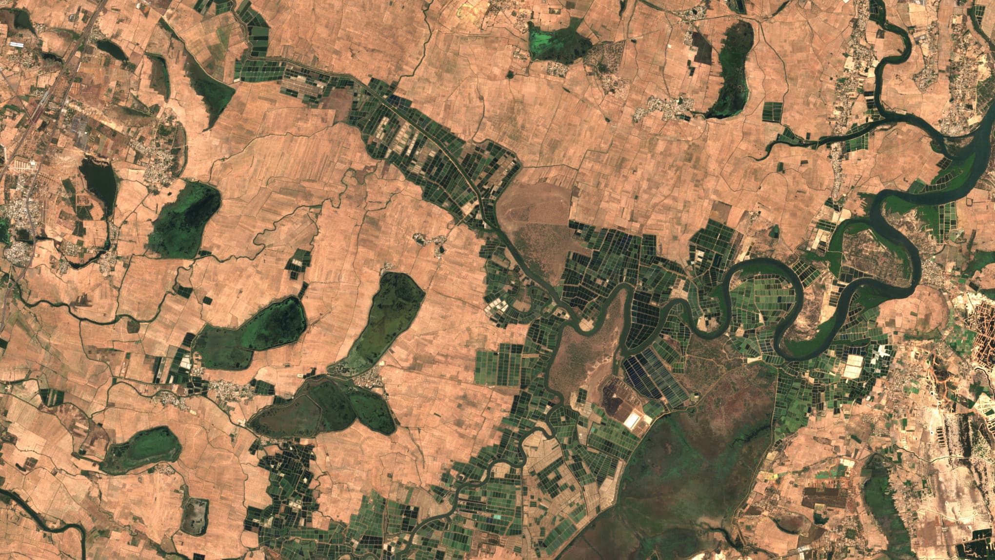Aquaculture ponds packed along a winding tidal creek south of Nellore, seen from orbit: dark green rectangles among dry brown fields